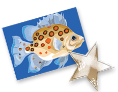 layout_07.png layout_07.png