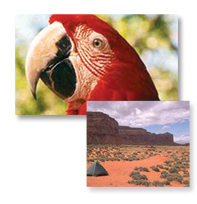 layout_18.png layout_18.png